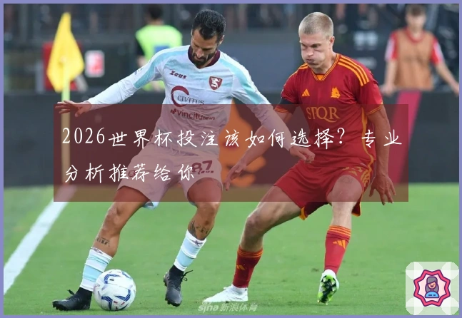 2026世界杯投注该如何选择？专业分析推荐给你