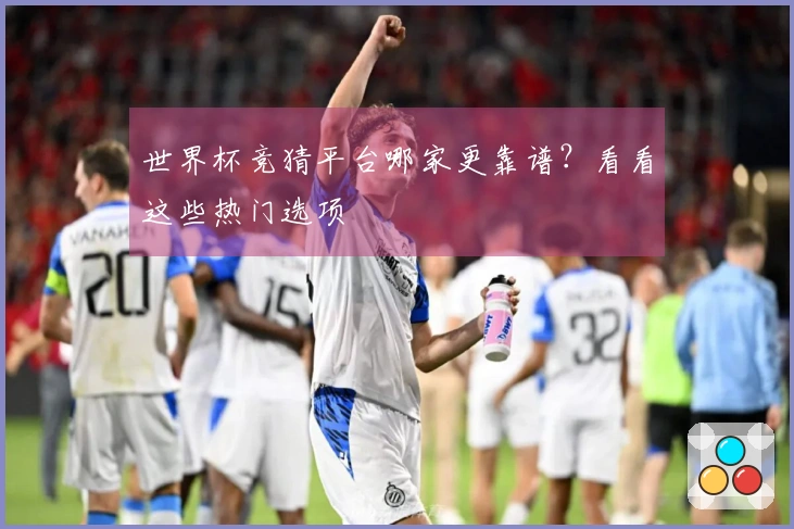 世界杯竞猜平台哪家更靠谱？看看这些热门选项