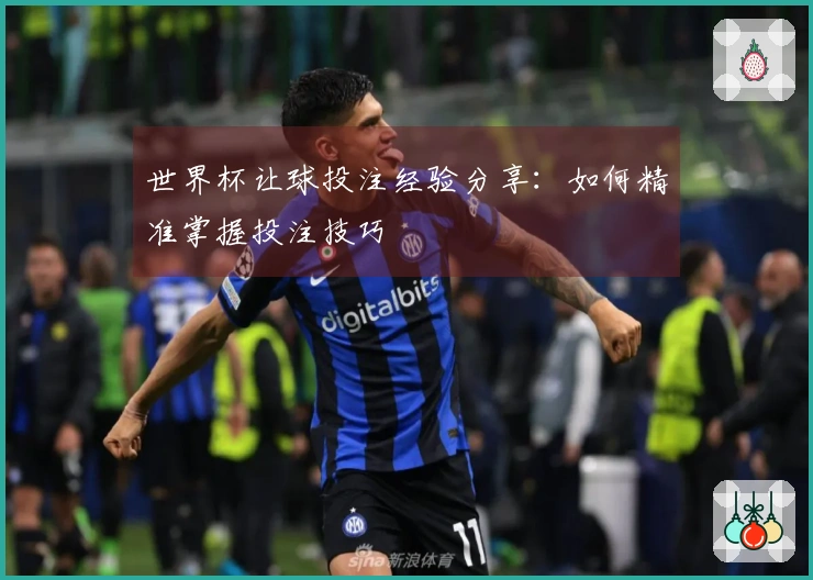 世界杯让球投注经验分享：如何精准掌握投注技巧