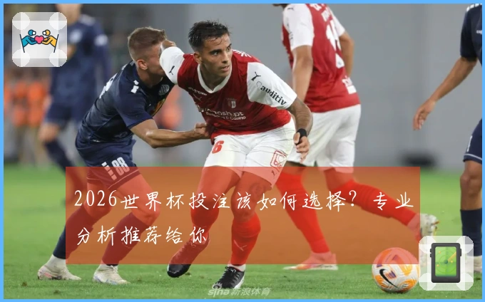 2026世界杯投注该如何选择？专业分析推荐给你