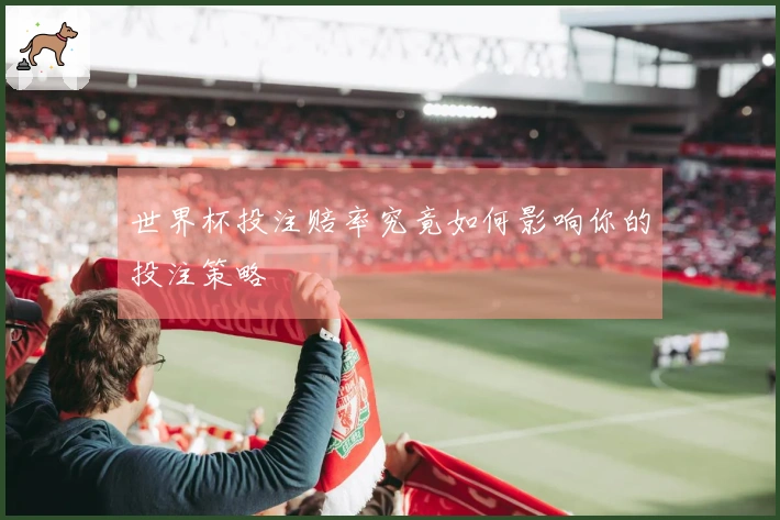 世界杯投注赔率究竟如何影响你的投注策略