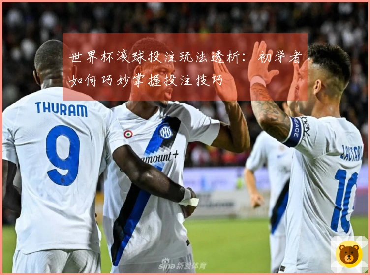 世界杯滚球投注玩法透析：初学者如何巧妙掌握投注技巧
