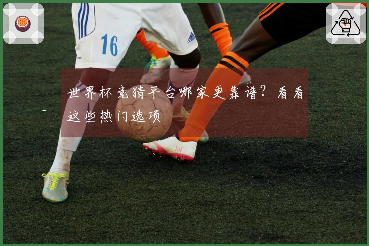 世界杯竞猜平台哪家更靠谱？看看这些热门选项