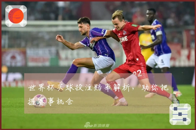 世界杯买球投注赔率解析，助你把握赛事机会