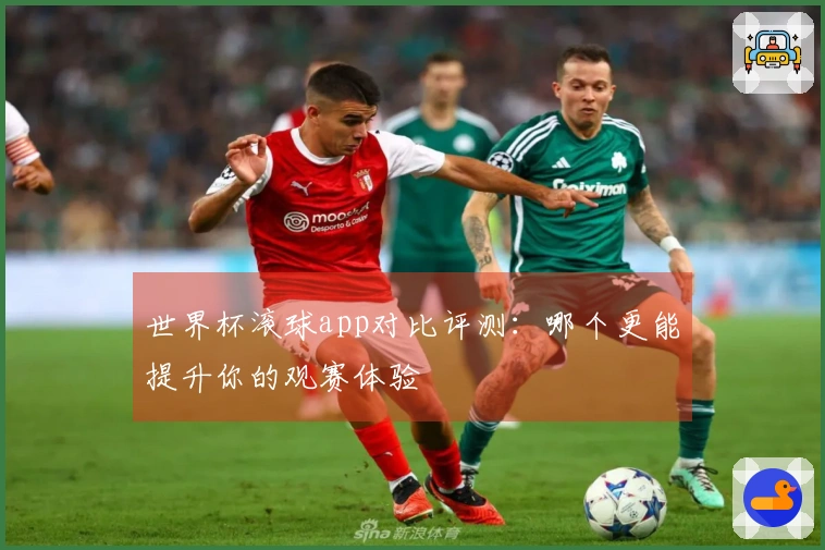 世界杯滚球app对比评测：哪个更能提升你的观赛体验