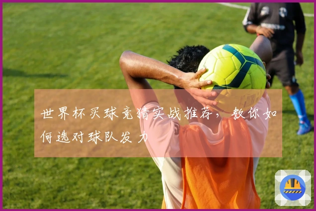 世界杯买球竞猜实战推荐，教你如何选对球队发力