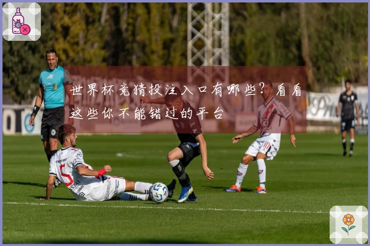 世界杯竞猜投注入口有哪些？看看这些你不能错过的平台