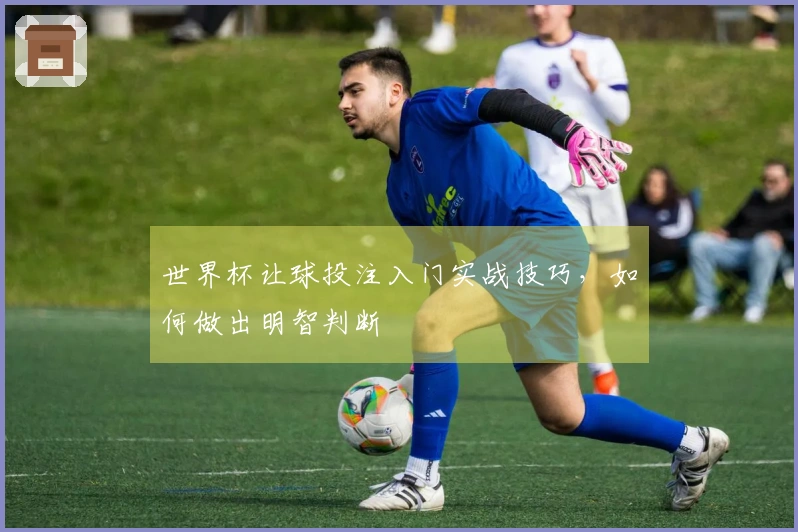 世界杯让球投注入门实战技巧，如何做出明智判断