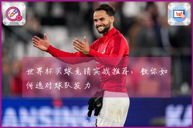 世界杯买球竞猜实战推荐，教你如何选对球队发力