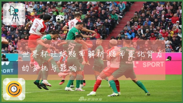 世界杯让球赔率解析 赔率变化背后的玄机与影响