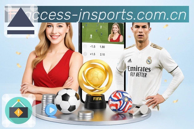 安全保障闭环示意